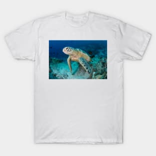 Green turtle resting on reef (C024/7730) T-Shirt